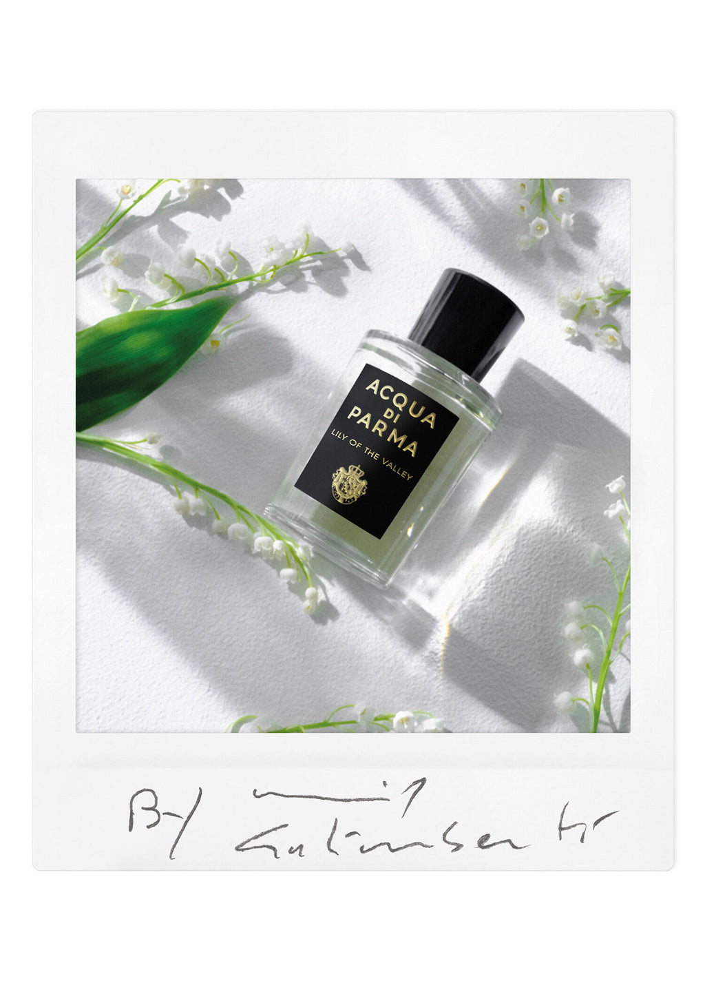 Sıgrnature Lıly Of The Valley Edp 100 ml