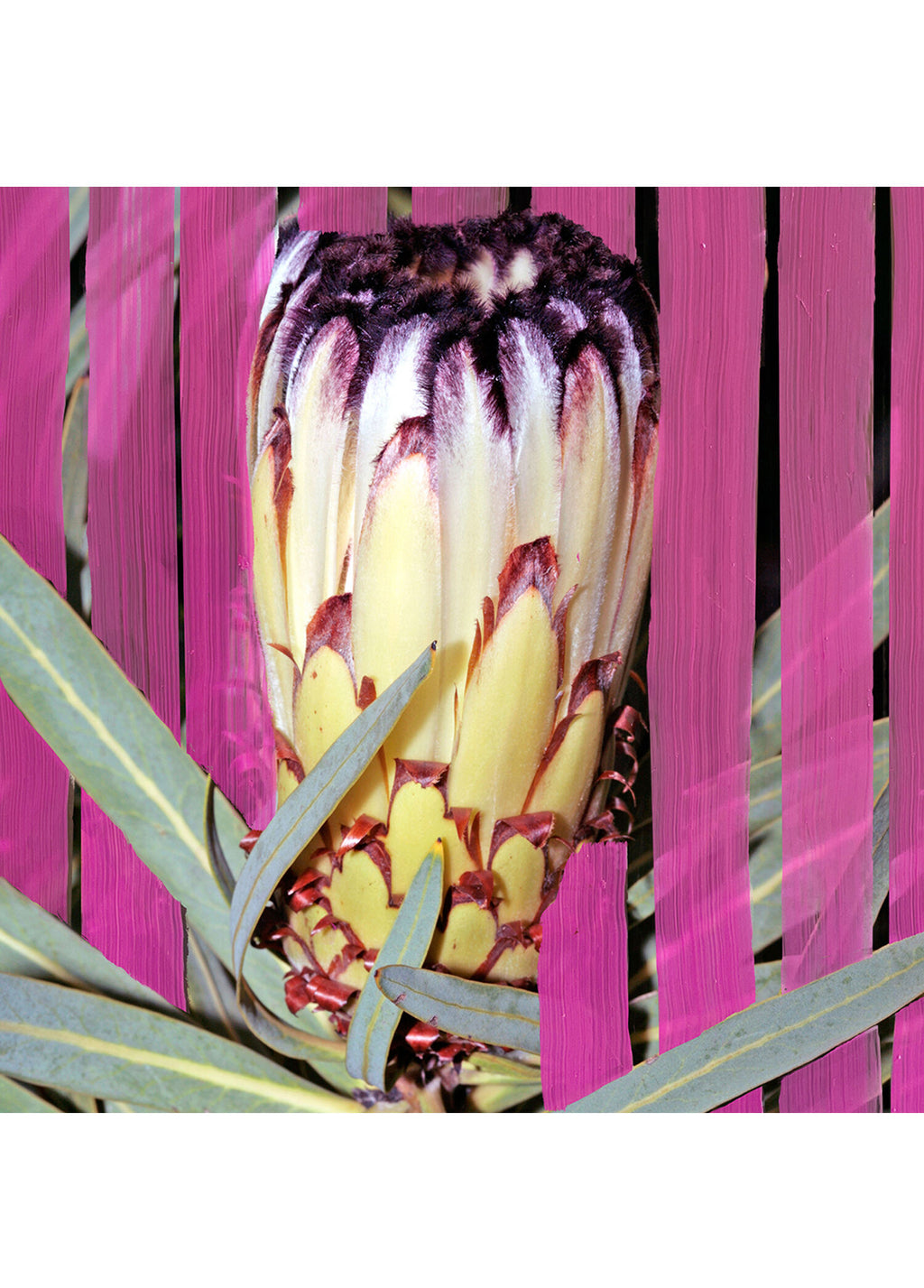 Inflorescence EDP 100 ml Kadın Parfüm