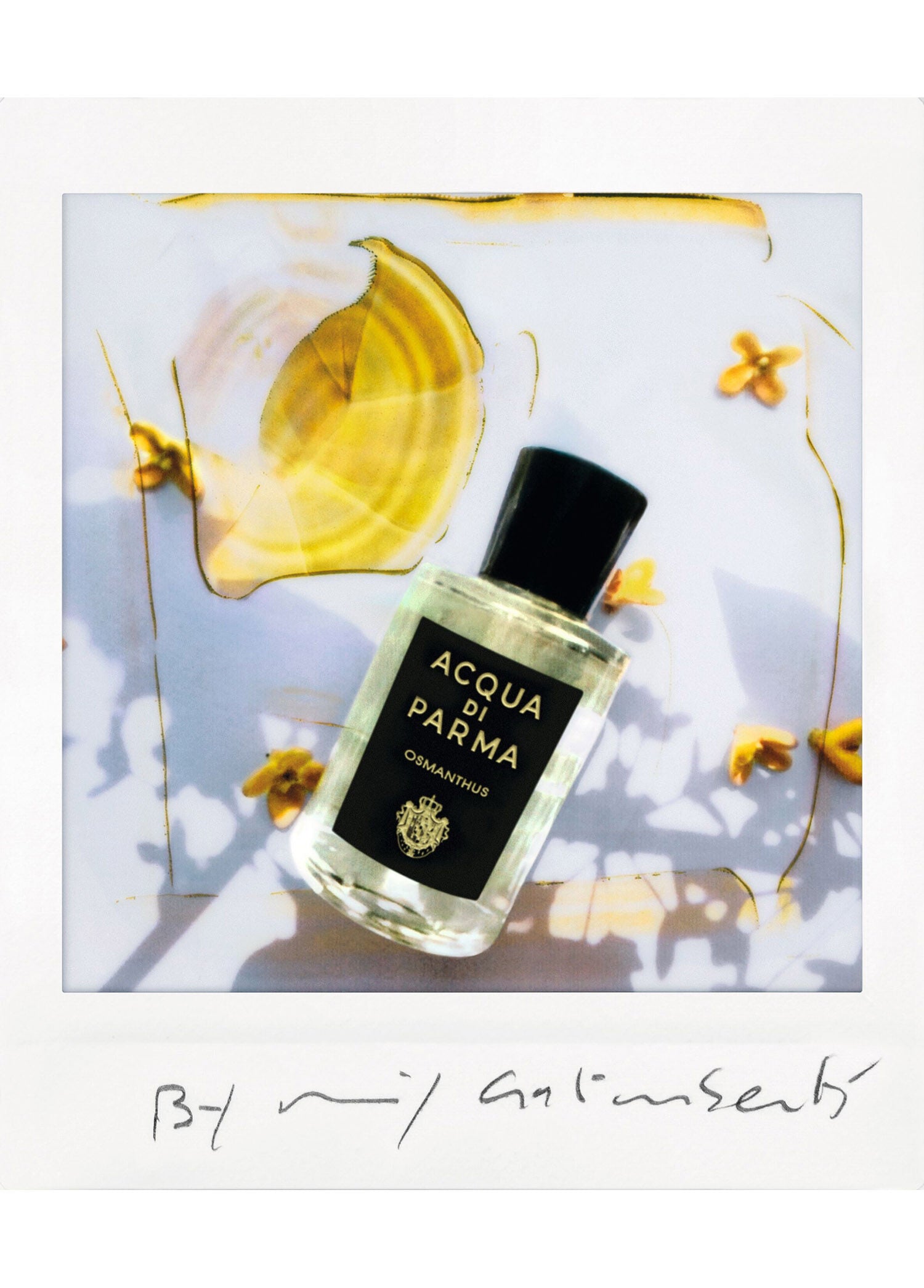 Signature Osmanthus EDP 100 ml Parfüm