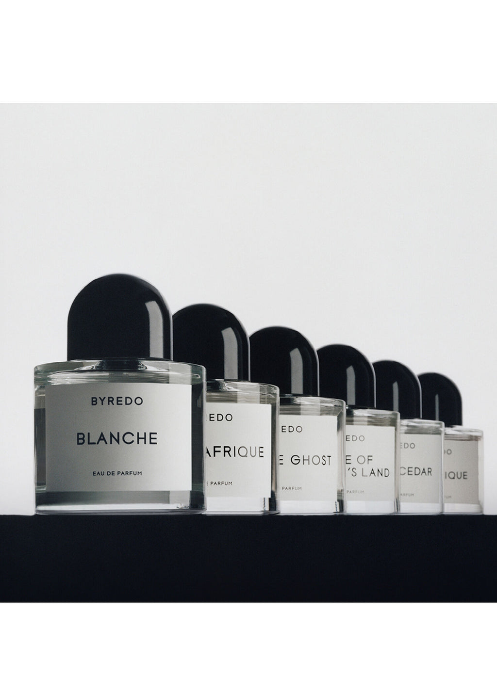 Blanche Absolu Edp 100 ml Unisex Parfüm