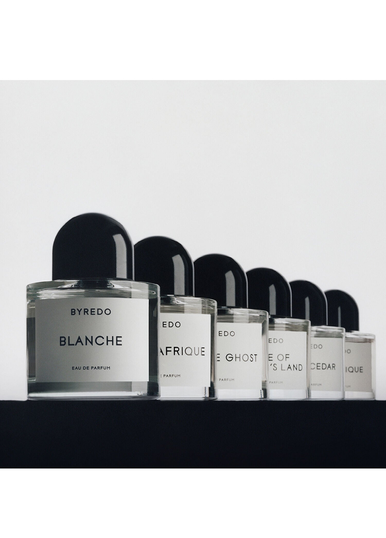 Blanche Absolu Edp 100 ml Unisex Parfüm