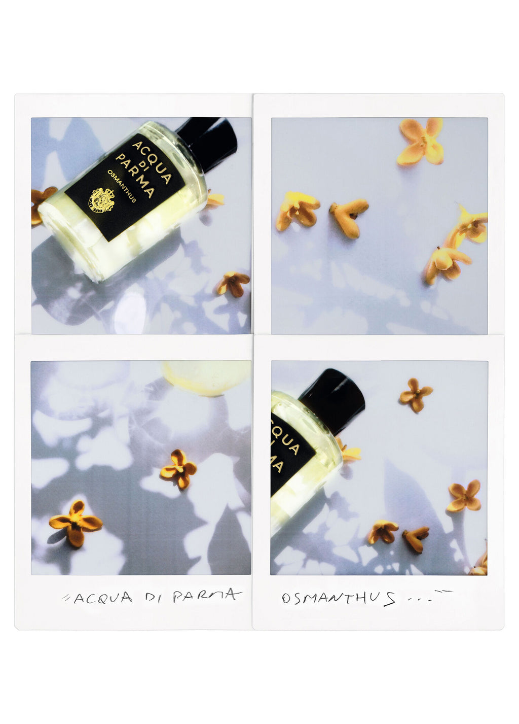 Signature Osmanthus EDP 180 ml Parfüm