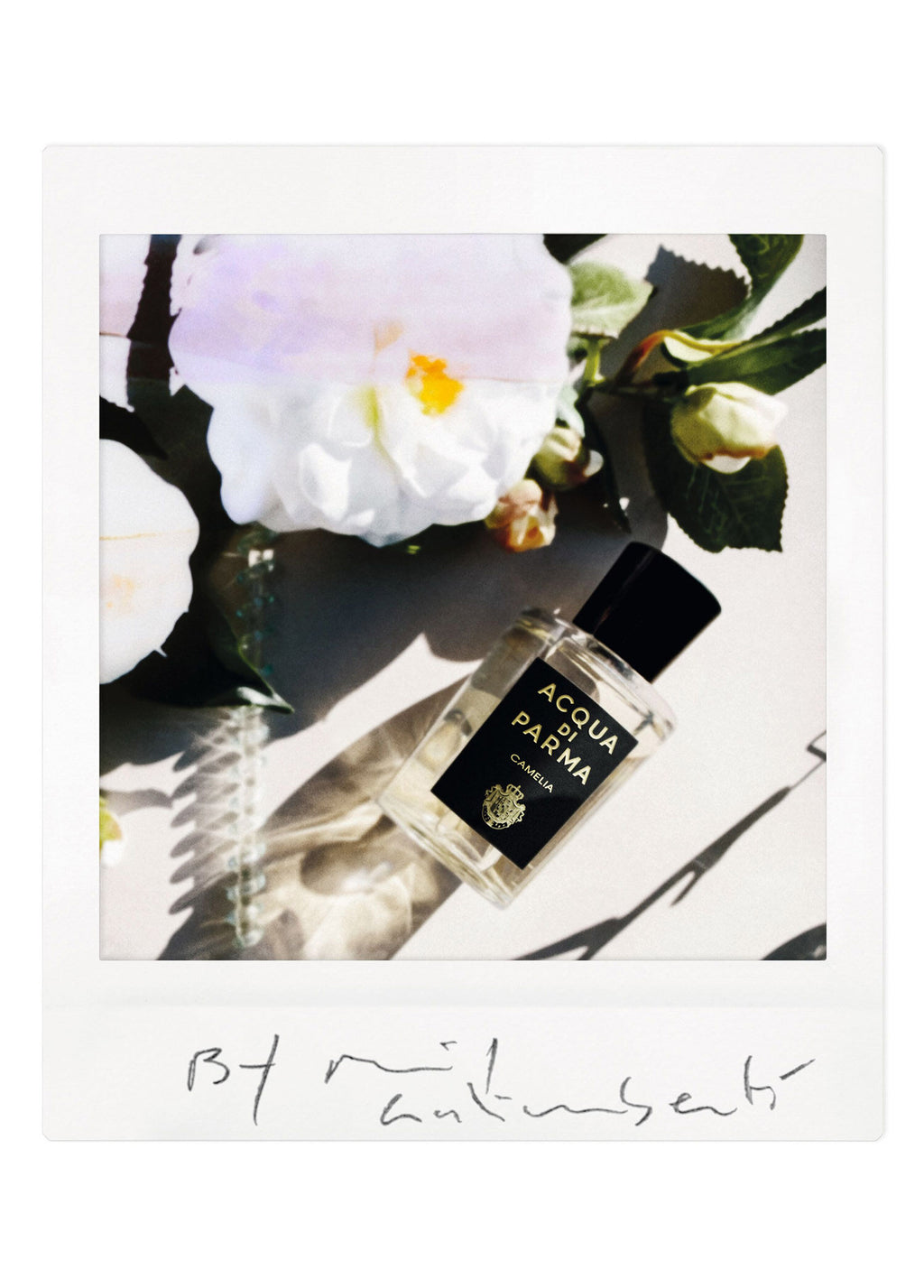 Signature Camelia Edp 180ml