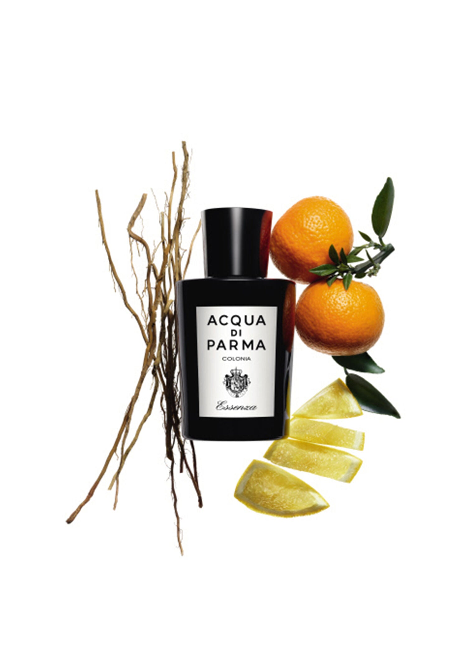 Colonia Essenza Edc 100 ml Erkek Parfüm