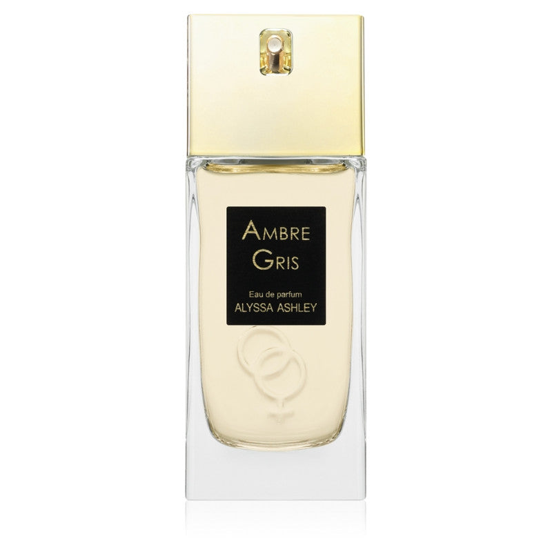 Alyssa Ashley Ambre Gris