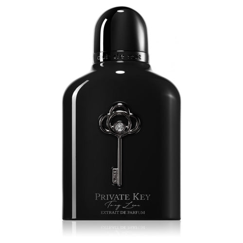 Armaf Private Key To my Dreams