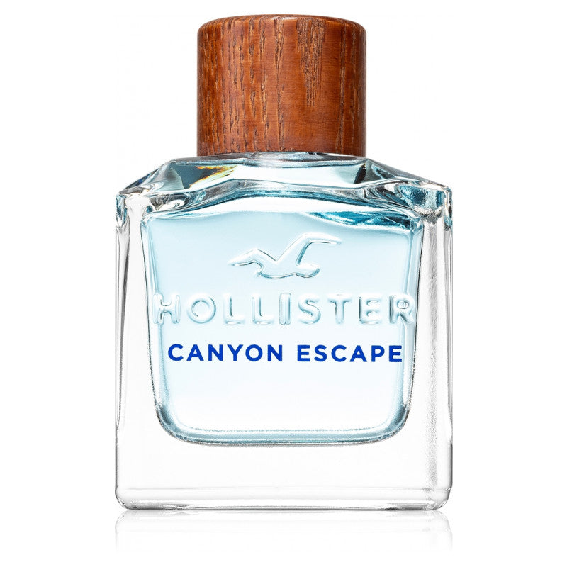 Hollister Canyon Escape for Him
