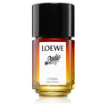 Loewe Paula’s Ibiza Cosmic
