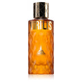 Paris Corner Virilis