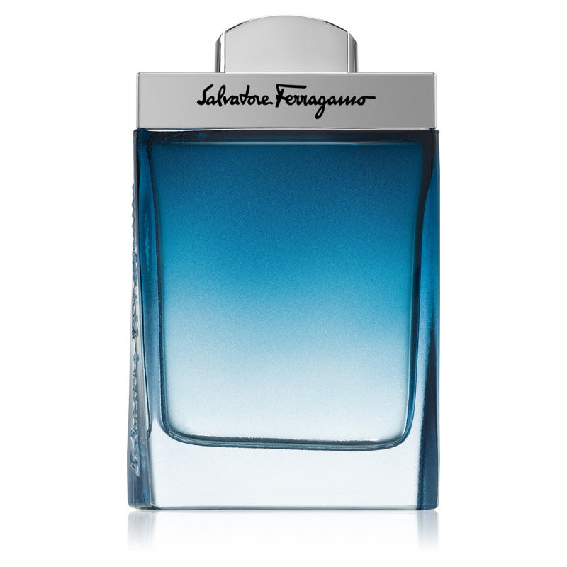 Ferragamo Subtil Pour Homme
