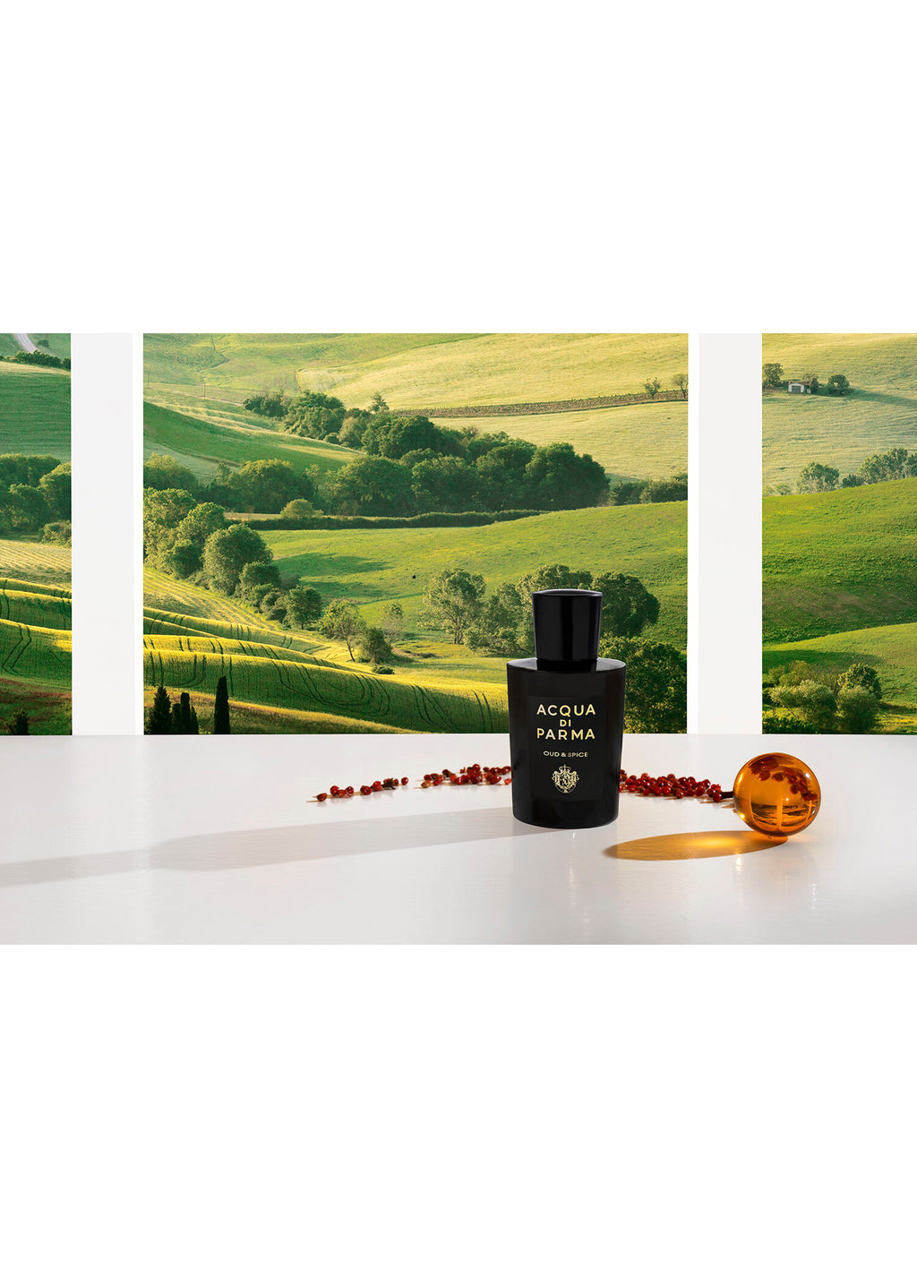 Sıgnature Oud&Spıce Edp 180 ml