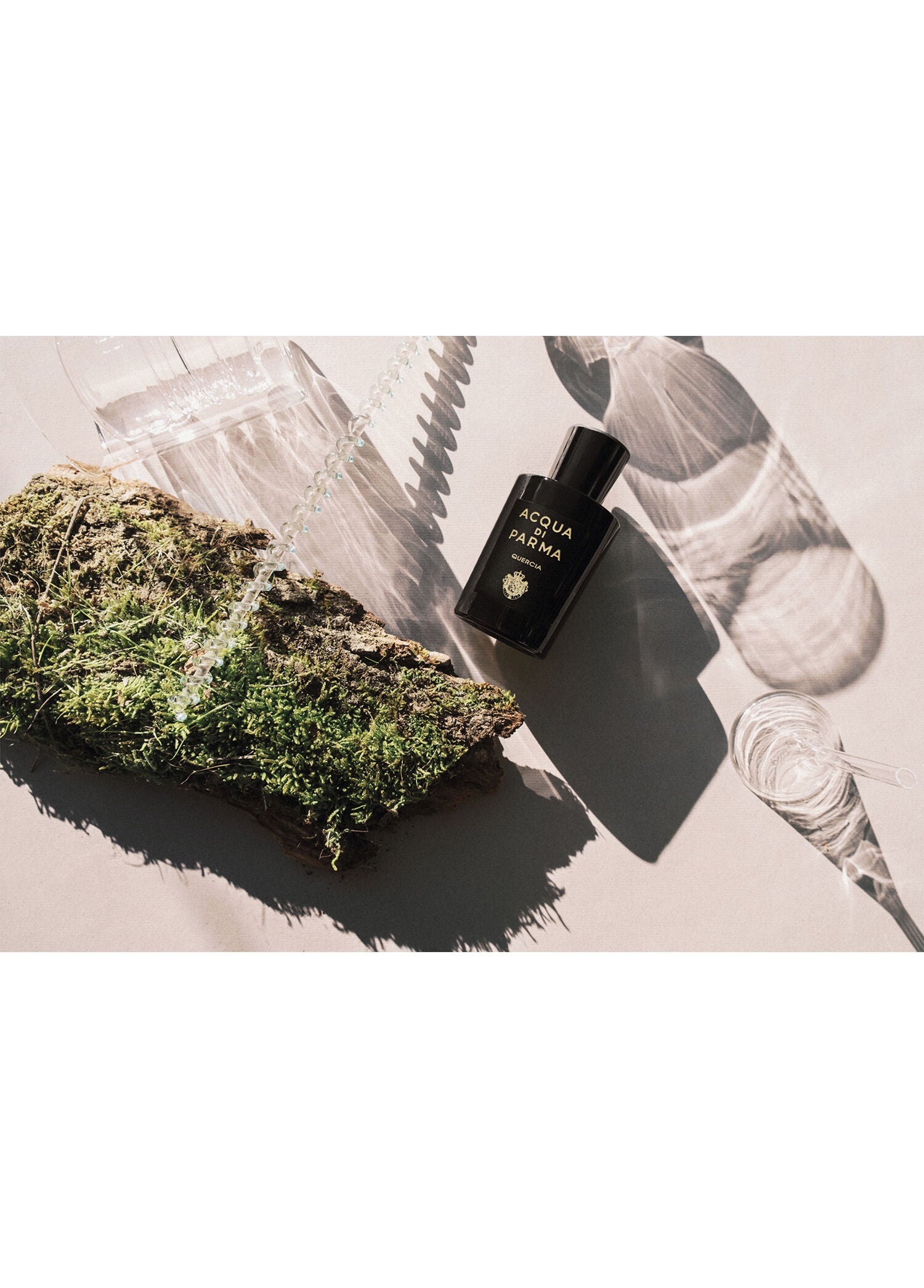 Signature Sandalo EDP 100 ml Parfüm