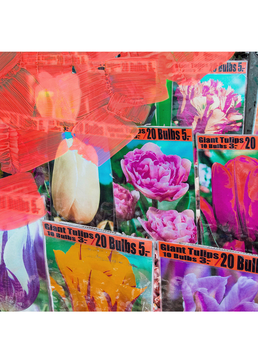 La Tulipe 75 ml Kadın Saç Parfümü